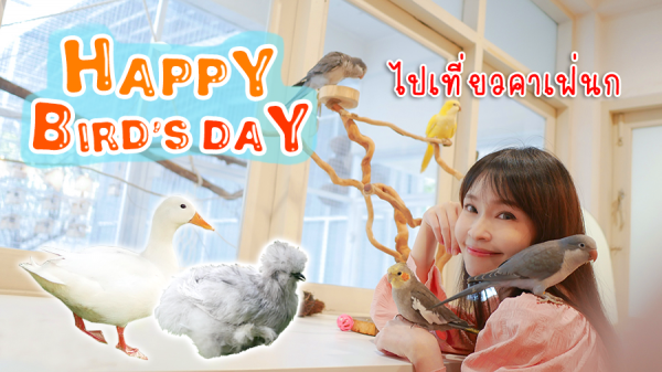 ไปเล่นกับนก เป็ด ไก่ กระต่าย ที่คาเฟ่นก Happy Bird’s Day กันค่ะ