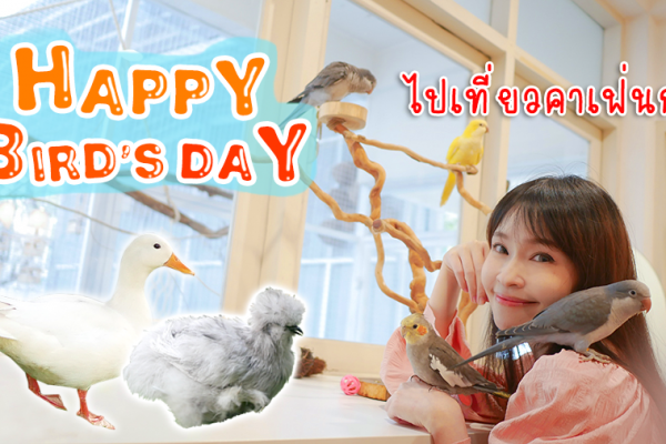 คาเฟ่นก Happy Bird’s Day ไปเล่นกับนก เป็ด ไก่ กระต่าย กันค่ะ