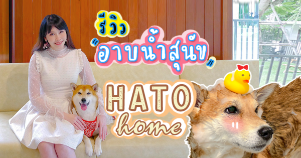 อาบน้ำสุนัข แปรงฟัน ตัดเล็บ ไถขนที่อุ้งเท้า แล้วก็หามุมถ่ายรูปสวย ๆ ที่ HATO Home กันค่ะ